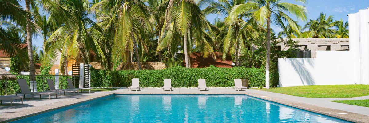Piscina di un hotel con palme e altra vegetazione dietro