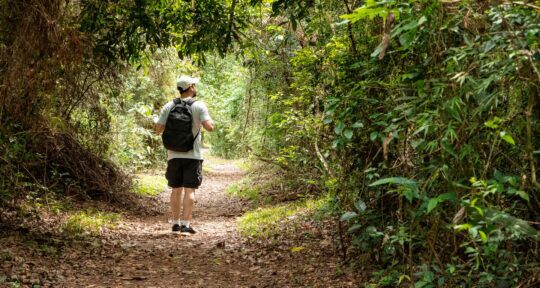 Ecoturismo significato